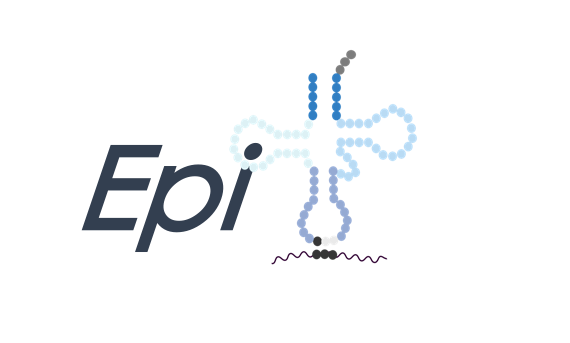 (t)RNA epitranscriptome and disease group